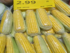 <b>截至2025年6月酒店堂门客人明</b>